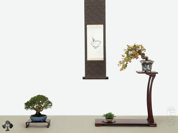8 - Siêu mini Bonsai – Mame Bonsai của Morten Albek