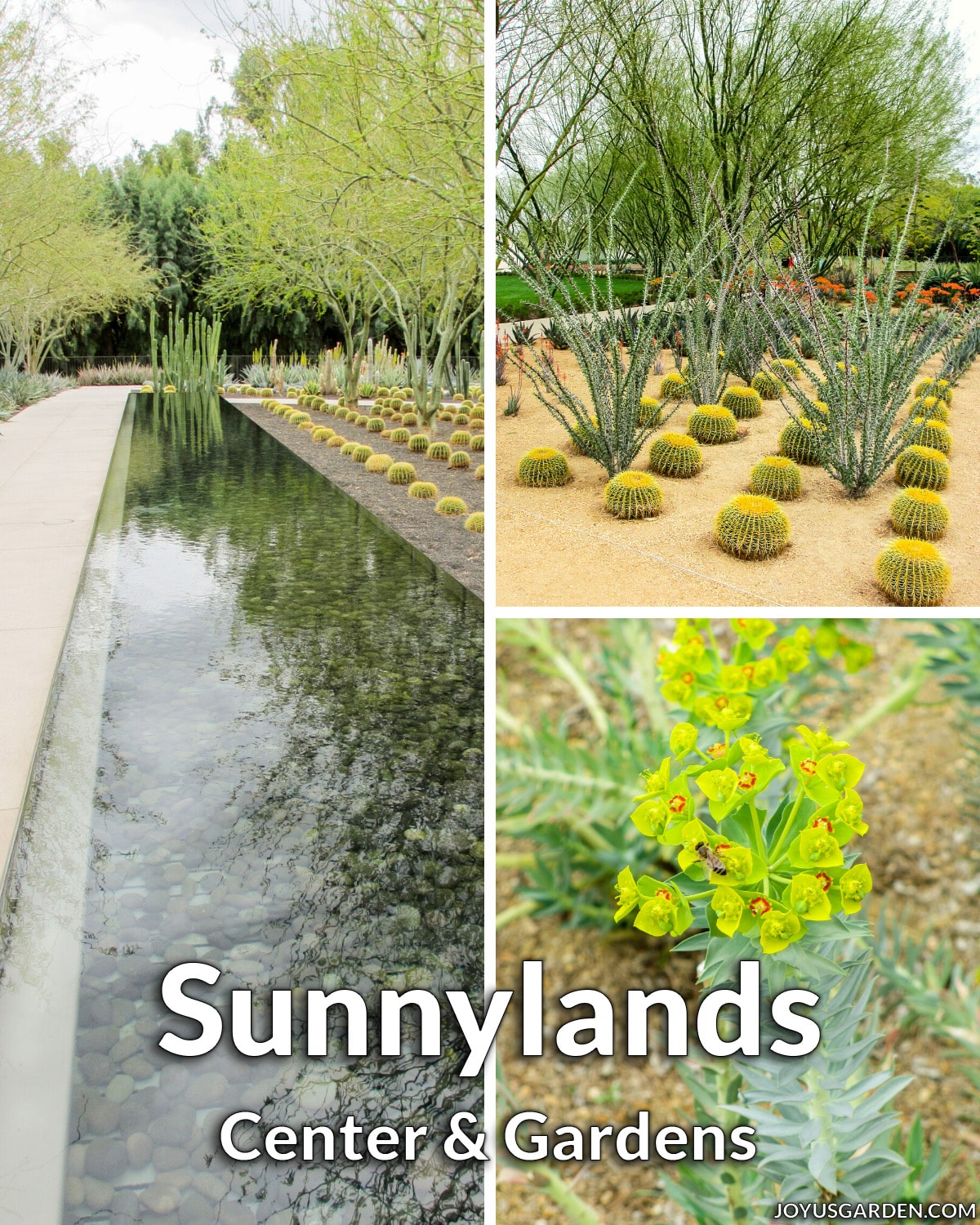 Trung tâm Sunnt Lands và vườn ở Palm Strings
