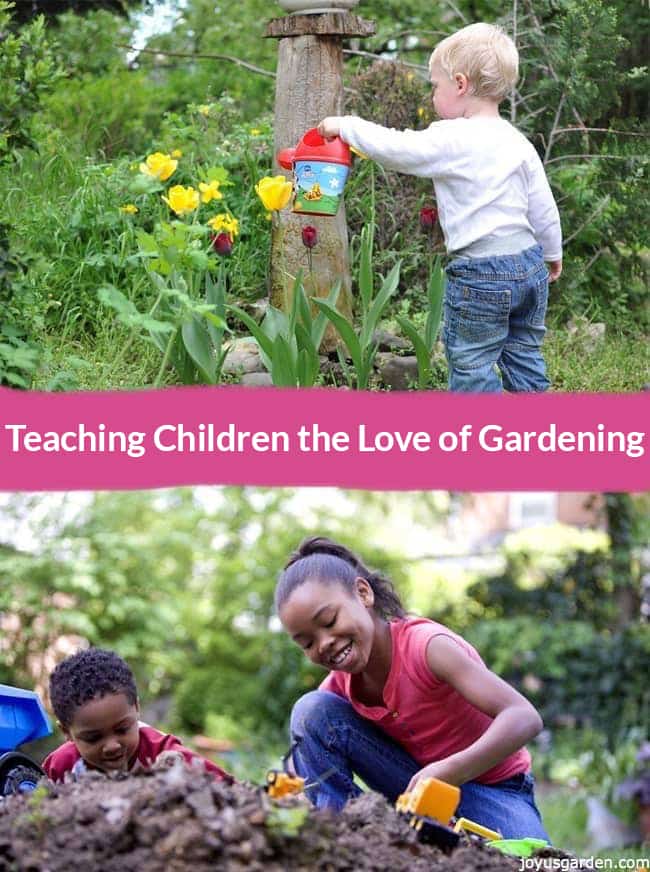 Phát triển tình yêu ở trẻ nhỏ qua việc làm vườn