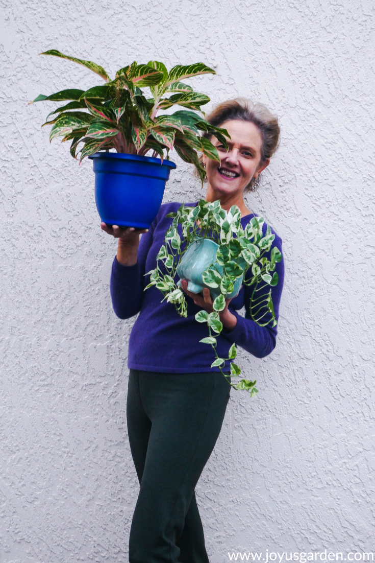 Hành trình làm vườn của Nell: Tình yêu đích thực với cây cảnh trồng trong nhà (houseplants, indoor plants)