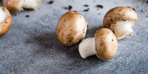 Trồng Nấm tại nhà