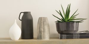 Cách trồng và chăm sóc Nha Đam (Chi Aloe)