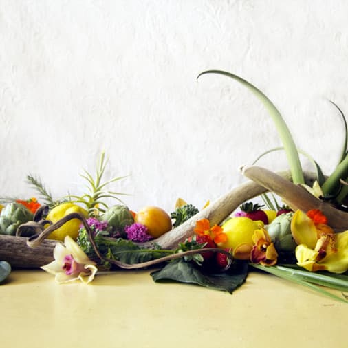 Trang trí bàn ăn với Gỗ, Hoa, Sen Đá và các loại cây Không Khí