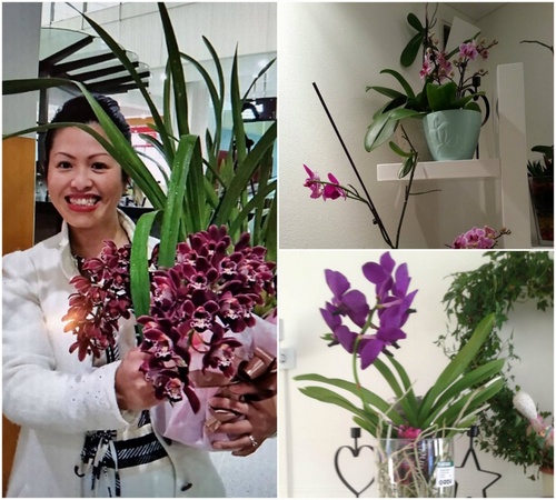 Mê mẩn ngôi nhà thơm ngát hoa Lan của mẹ Việt ở Na Uy