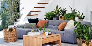 Mang không gian ngoại thất vào nhà với cây nội thất