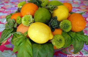 Những cách trang trí bằng Cam – Quýt – Chanh