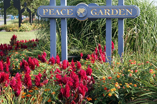 Những bông hoa tuyệt vời nhất cho một khu vườn An Yên “Peace Garden”