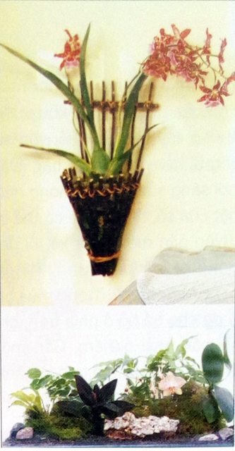 [Sách Ebook] Phương pháp trồng & chăm sóc Hoa Lan – Thiên Kim – VI. Nơi trồng Hoa Lan