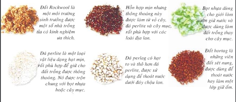 [Sách Ebook] Phương pháp trồng & chăm sóc Hoa Lan – Thiên Kim – VII. Chăm sóc và nuôi trồng – 2. Môi trường sinh trưởng
