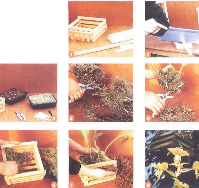 [Sách Ebook] Phương pháp trồng & chăm sóc Hoa Lan – Thiên Kim – VII. Chăm sóc và nuôi trồng – 3. Trồng vào chậu và cắm lan như thế nào? – 3.2. Lan trồng trong giỏ
