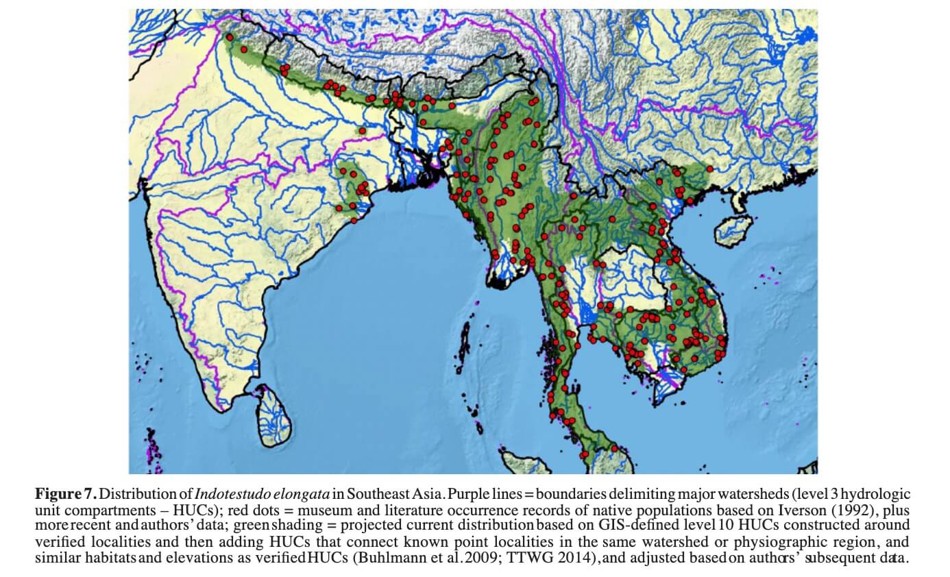 Phân bố của Indotestudo elongata ở Đông Nam Á. Đường màu tím = ranh giới phân định các lưu vực chính (các ngăn đơn vị thủy văn cấp 3 - HUC); chấm đỏ = hồ sơ về sự xuất hiện của bảo tàng và văn học về các quần thể bản địa dựa trên Iverson (1992), cộng với dữ liệu gần đây hơn và của các tác giả; green shading = phân bố hiện tại dự kiến dựa trên các HUC cấp 10 được GIS phân tích được xây dựng xung quanh các địa phương đã được xác minh và sau đó thêm các HUC kết nối các địa điểm đã biết trong cùng một khu vực đầu nguồn hoặc khu vực địa lý, cũng như các môi trường sống và độ cao tương tự như HUC đã được xác minh ( Buhlmann và cộng sự 2009; TTWG 2014), và được điều chỉnh dựa trên dữ liệu tiếp theo của các tác giả