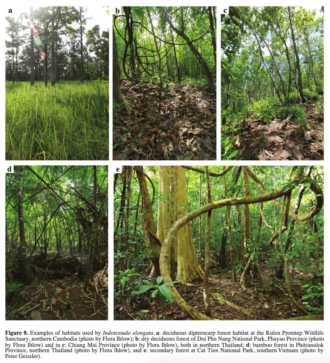 Ví dụ về tập tính của Rùa Núi vàng. a: Sinh cảnh rừng khộp rụng lá tại Khu bảo tồn động vật hoang dã Kulen Promtep, miền bắc Campuchia (ảnh của Flora Ihlow); b: Rừng khô rụng lá ở Vườn quốc gia Doi Phu Nang, tỉnh Phayao (ảnh của Flora Ihlow) và ở c: Tỉnh Chiang Mai (ảnh của Flora Ihlow), cả hai đều ở miền bắc Thái Lan; d: Rừng tre ở tỉnh Phitsanulok, miền bắc Thái Lan (ảnh của Flora Ihlow), và e: Rừng thứ sinh tại Vườn quốc gia Cát Tiên, miền nam Việt Nam (ảnh của Peter Geissler)