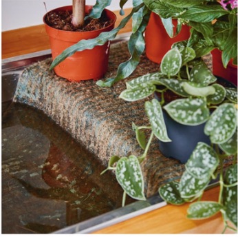 Easy sink method Fill the kitchen sink with water and place either capillary matting or an old towel on the draining board, with one end in the water. Remove your plants from their sleeves and set them on the wet matting or towel, so that moisture can be drawn up through the drainage holes to the roots.