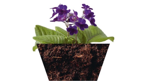 Multipurpose compost Also known as all-purpose compost, this lightweight type is available with or without peat. Made from natural materials, such as coir, bark, and composted wood fibre, most also contain enough fertilizer to feed plants for a few weeks. BEST FOR Annual flowering house plants