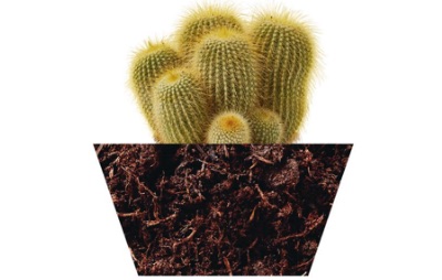 Specialist composts Formulated for specific plant groups, such as orchids, cacti, or carnivorous plants, this range of composts takes the guesswork out of making your own mixes for plants that demand very particular conditions. BEST FOR Orchids, cacti and succulents, carnivorous plants