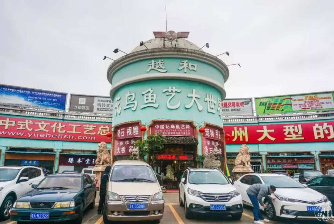 Biểu tượng cổng chính của chợ HuaDiWan, một hình ảnh cực kỳ thân thuộc của dân buôn hàng sinh vật cảnh người Việt Nam