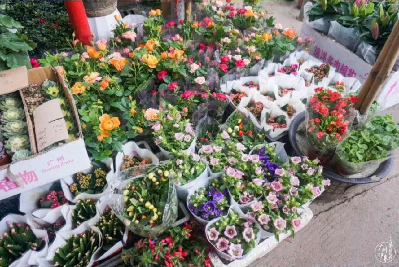 Một khu vực bán hoa chậu và hoa cắm nhỏ nhưng có võ trong chợ.