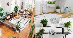 Bạn đã biết cách chọn cây xanh trong nhà?