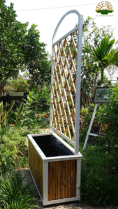 Bồn Trúc trồng cây: Nét đẹp truyền thống của người Việt