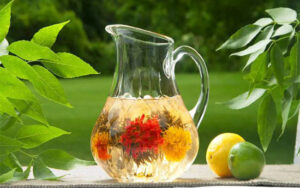 Lá Trà và những bí mật ít được nhắc đến