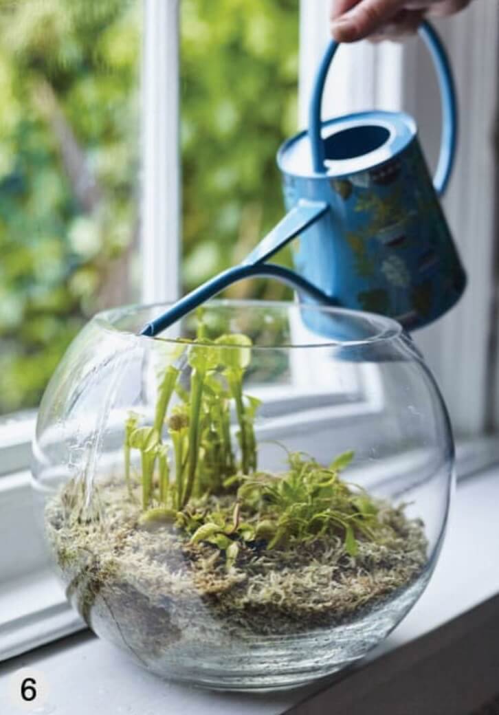 Water in the plants. To do this in a round vase, carefully aim the water at the side of the vase so that it goes directly into the compost rather than splashing over the plants.