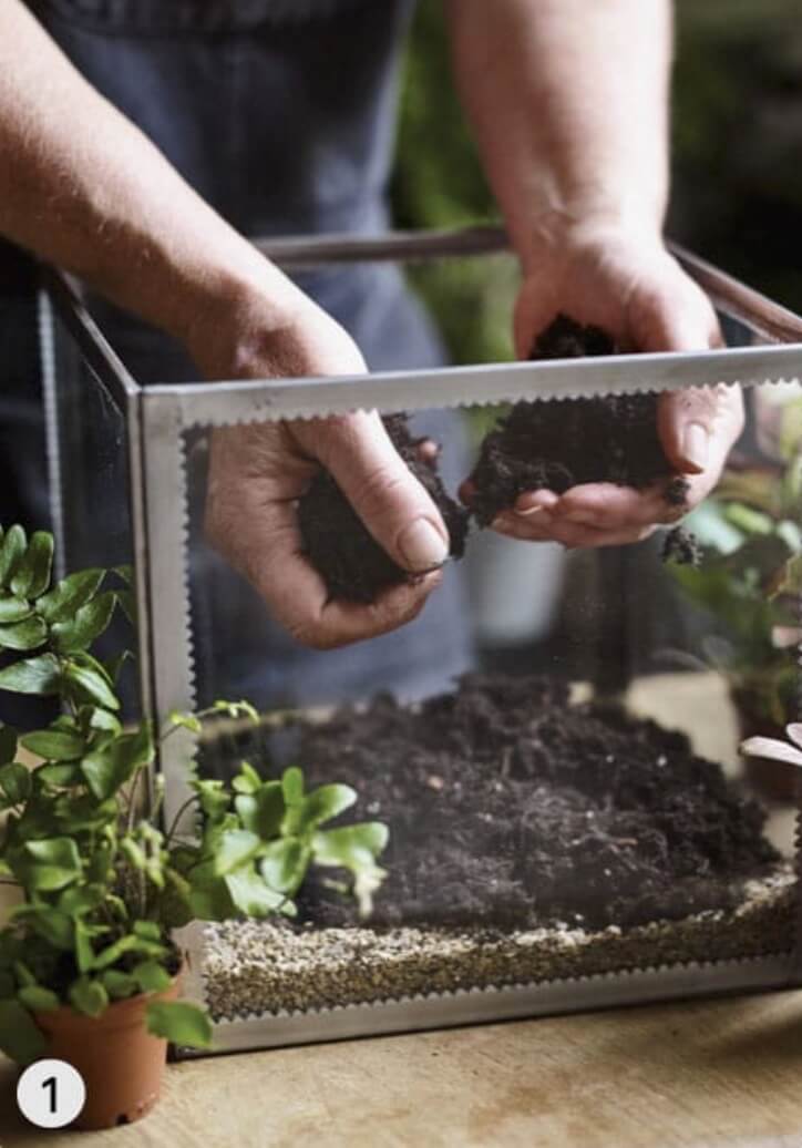 Add a layer of grit or gravel and activated charcoal to the base of the terrarium and then cover with 5–7cm/2–3in compost.