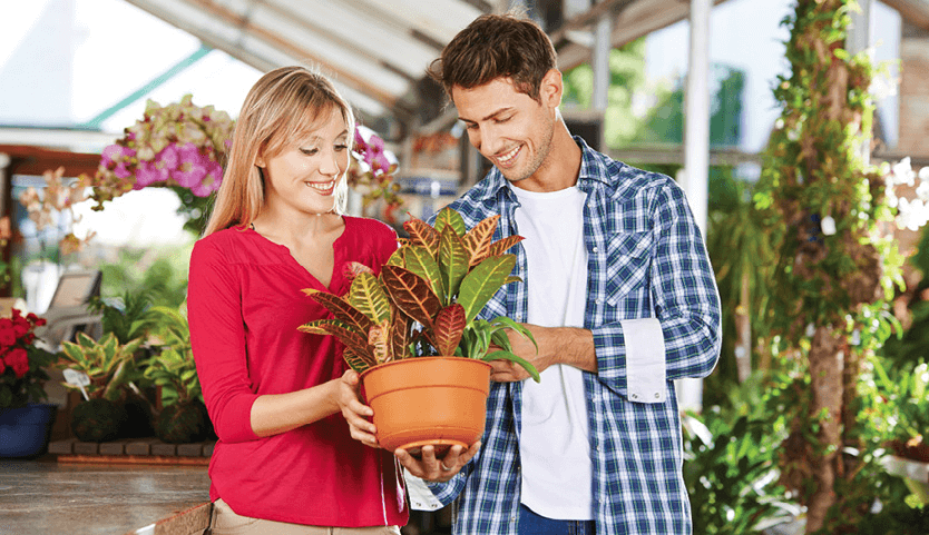 Always check for signs of a healthy plant before you buy from a nursery or garden center.