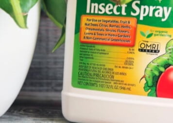 You can use natural insect sprays, such as those that contain spinosad, on both edible and ornamental plants to control a variety of insects. 