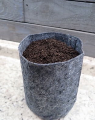 Available in many sizes, fabric pots are good for growing edible plants because they allow plant roots to breathe and can be washed and reused. 