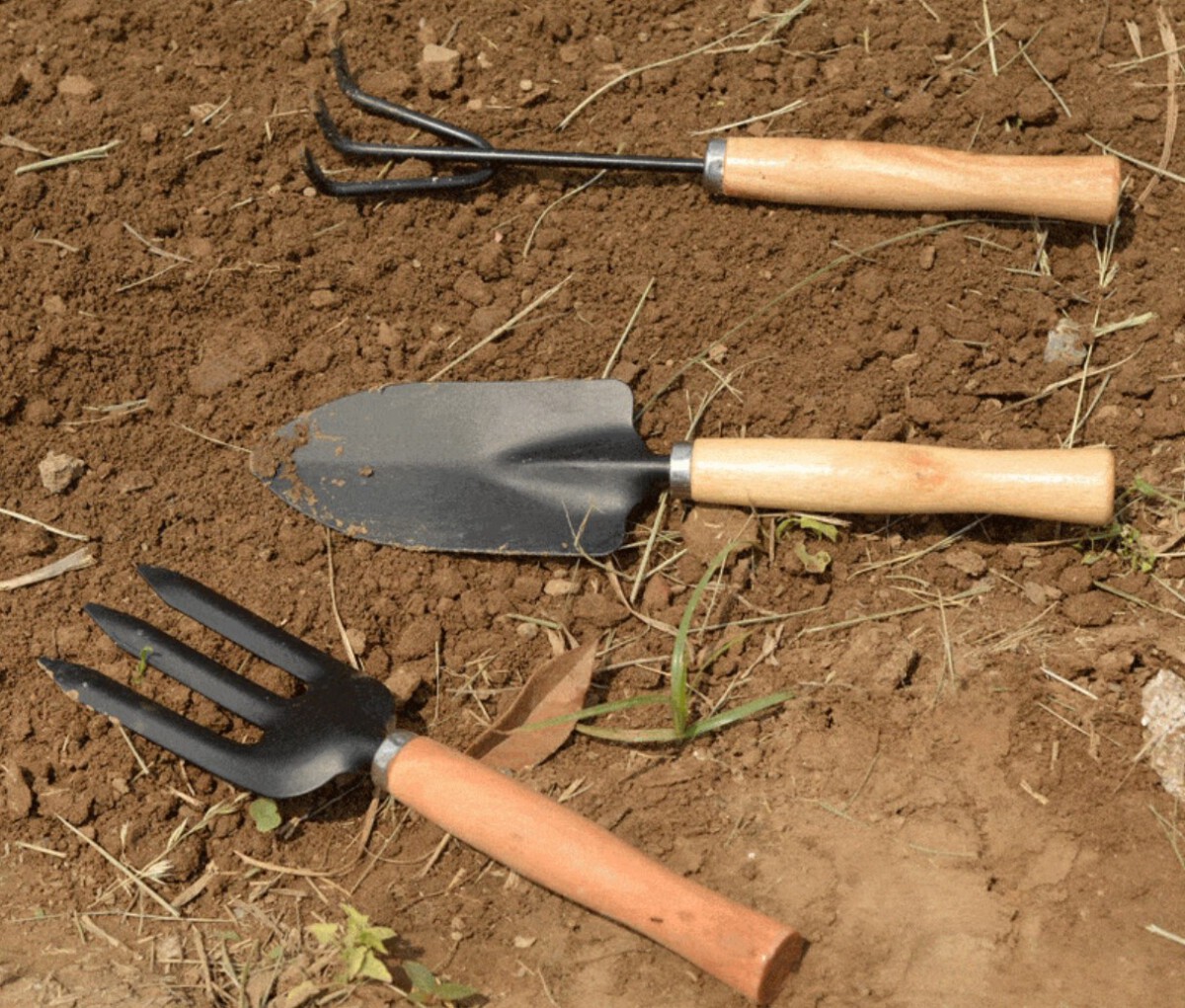 Các dụng cụ chăm sóc cây cảnh