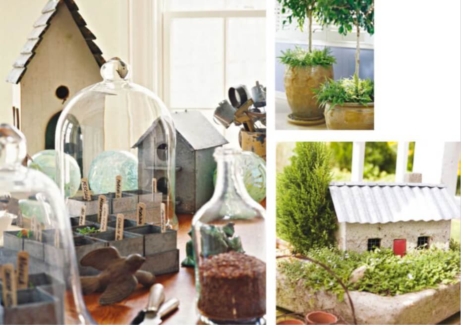 Above left: Create more interesting vignettes by combining indoor plants with select items, such as a glass cloche, birdhouse, and glass orbs. Top right:Small trees suited to indoor spaces such as this Ficus benjaminashare living quarters with small ferns. Above, bottom right: A shallow concrete planter holds creeping moss, a lemon cypress, and a fairy house.