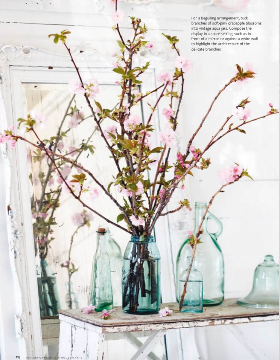 For a beguiling arrangement, tuck branches of soft-pink crabapple blossoms into vintage aqua jars. Compose the display in a spare setting, such as in front of a mirror or against a white wall to highlight the architecture of the delicate branches.