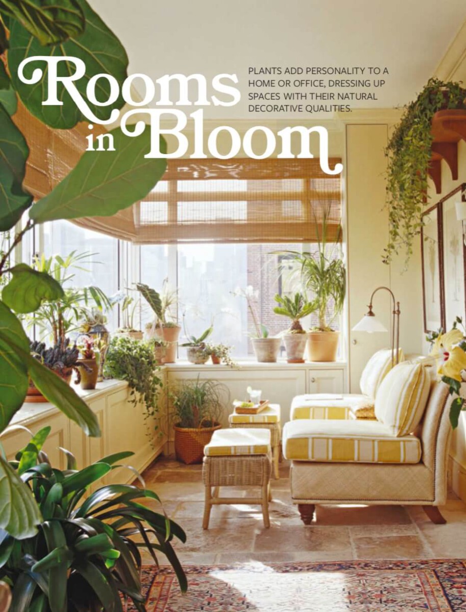 [Ebook] Indoor Gardening Houseplants 2016 USA Magazine – V – Rooms in Bloom (Căn phòng căng tràn sự sống)