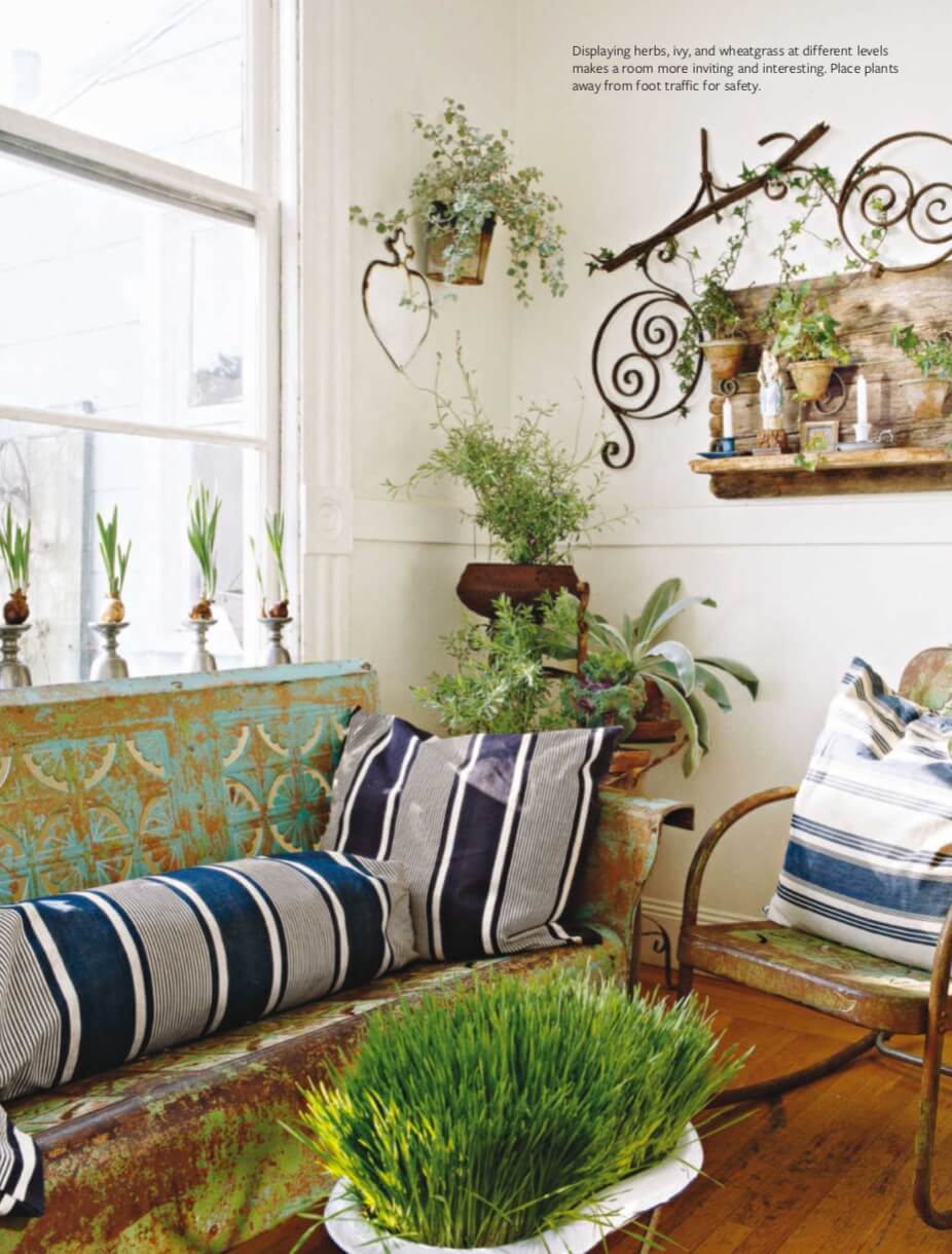 Displaying herbs, ivy, and wheatgrass at different levels makes a room more inviting and interesting. Place plants away from foot traffic for safety.