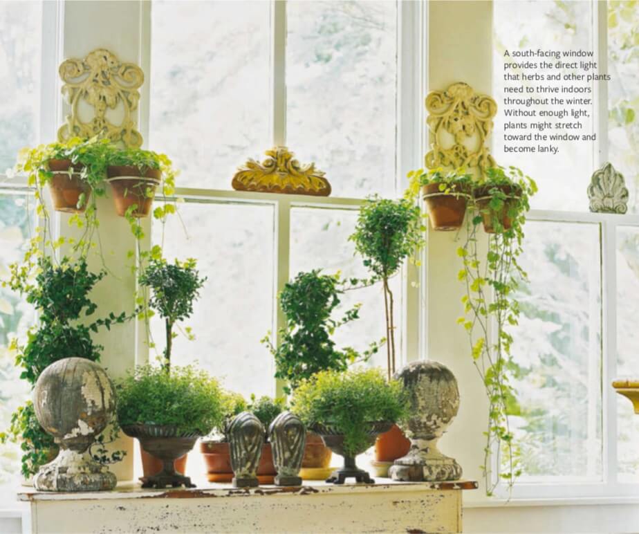 A south-facing window provides the direct light that herbs and other plants need to thrive indoors throughout the winter. Without enough light, plants might stretch toward the window and become lanky.