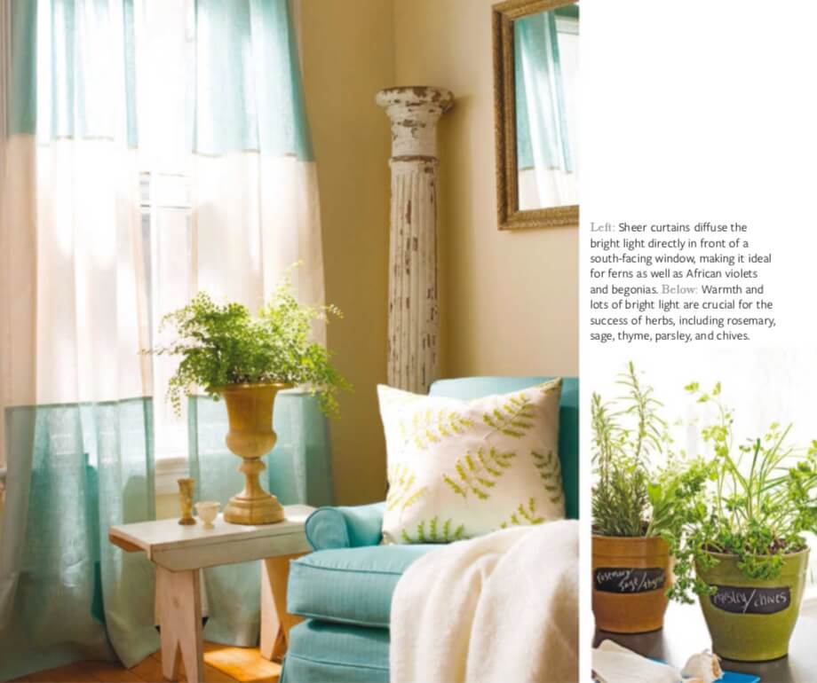 Left: Sheer curtains diffuse the bright light directly in front of a south-facing window, making it ideal for ferns as well as African violets and begonias. Below: Warmth and lots of bright light are crucial for the success of herbs, including rosemary, sage, thyme, parsley, and chives.
