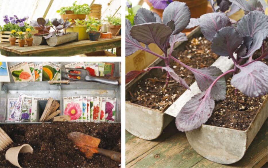  Below, top left: Nearly ready for the garden, seedlings benefit from the natural light and warmth next to south-facing greenhouse windows. Below right: Red cabbage seedlings grow well in vintage galvanized pans, thanks to drainage holes punctured in the bottoms. Below, bottom left: Cathy collects vintage seed packets for fun and antique tools for chores, storing them in galvanized trays in antique cabinets. Opposite: A set of old steps in the greenhouse are stacked with dozens of terra-cotta pots that are more than a handsome tableau: The clay pots, along with the floor bricks, absorb daytime warmth and release it on cold nights.