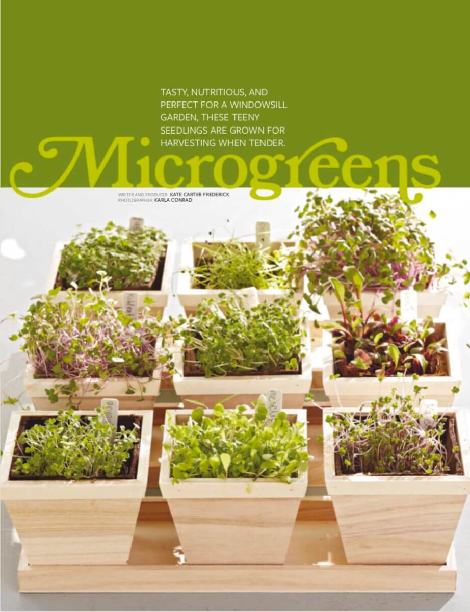 [Ebook] Indoor Gardening Houseplants 2016 USA Magazine – XIX – Microgreens (Rau non)