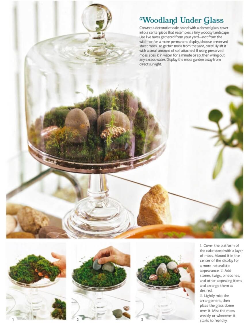 Convert a decorative cake stand with a domed glass cover into a centerpiece that resembles a tiny woodsy landscape. Use live moss gathered from your yard—not from the wild—or for a more permanent display, choose preserved sheet moss. To gather moss from the yard, carefully lift it with a small amount of soil attached. If using preserved moss, soak it in water for a minute or so, then wring out any excess water. Display the moss garden away from direct sunlight.