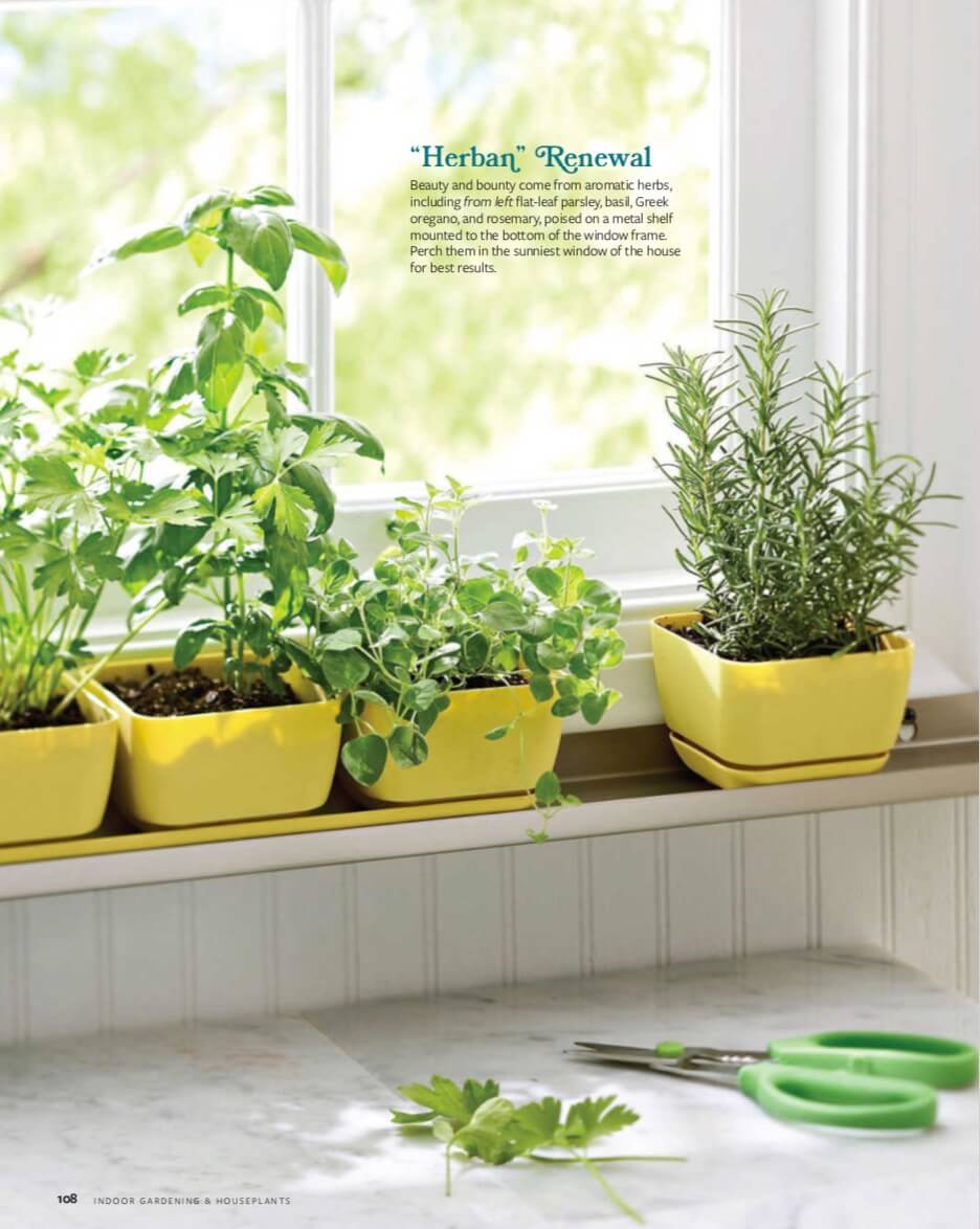 Beauty and bounty come from aromatic herbs, including from left flat-leaf parsley, basil, Greek oregano, and rosemary, poised on a metal shelf mounted to the bottom of the window frame. Perch them in the sunniest window of the house for best results.