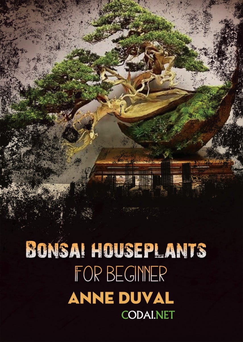 [Ebook Việt Hoá] BONSAI and HOUSEPLANTS for Beginners  – Anne Duval – Introduction (Giới thiệu)