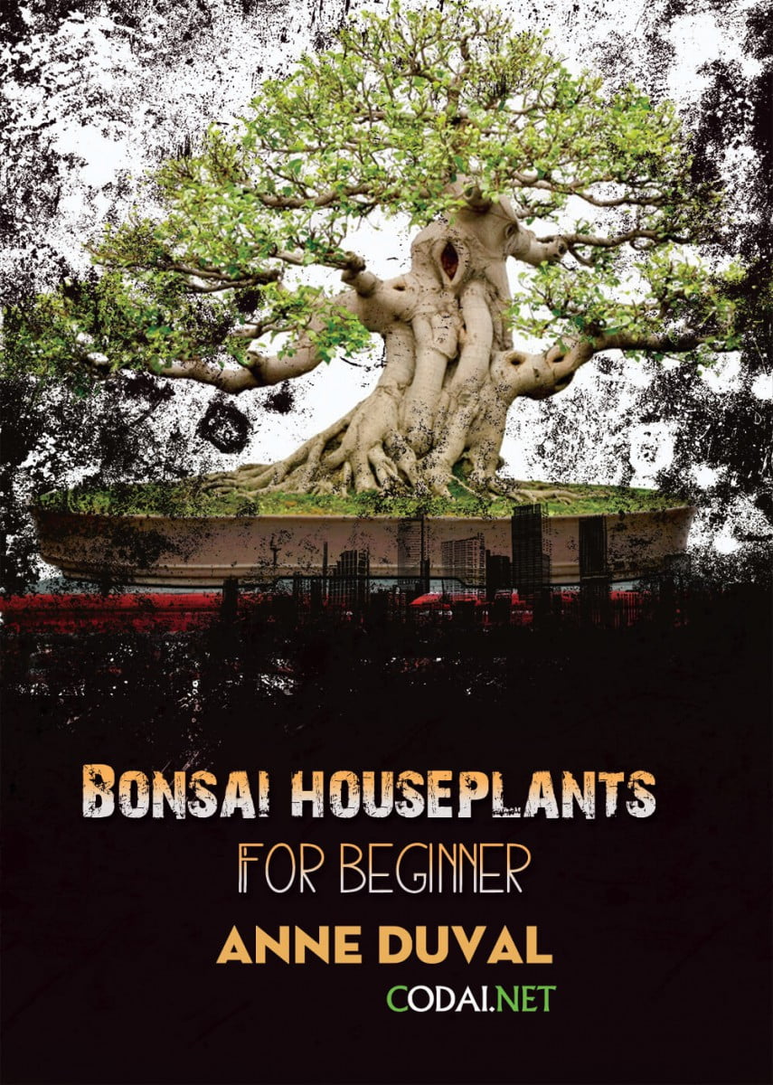 [Ebook Việt Hoá] BONSAI and HOUSEPLANTS for Beginners  – Anne Duval – How to Keep your Bonsai (Cách chăm cây Bonsai)