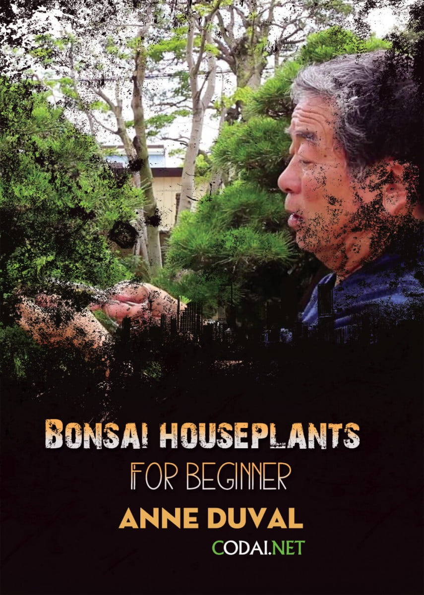 [Ebook Việt Hoá] BONSAI and HOUSEPLANTS for Beginners  – Anne Duval – Bonsai Basics (Bonsai Cơ Bản)