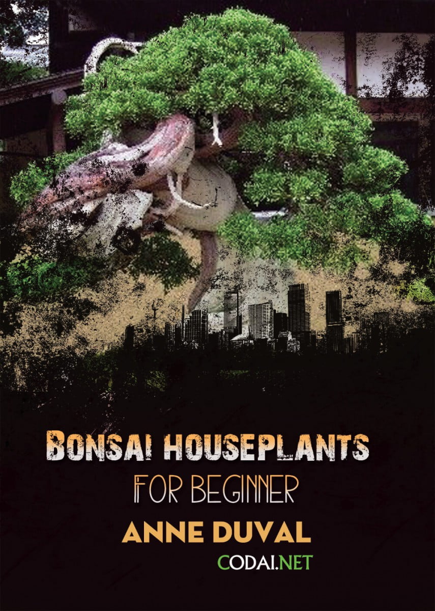 [Ebook Việt Hoá] BONSAI and HOUSEPLANTS for Beginners  – Anne Duval – Best Bonsai Plants (Những cây làm Bonsai tốt nhất)