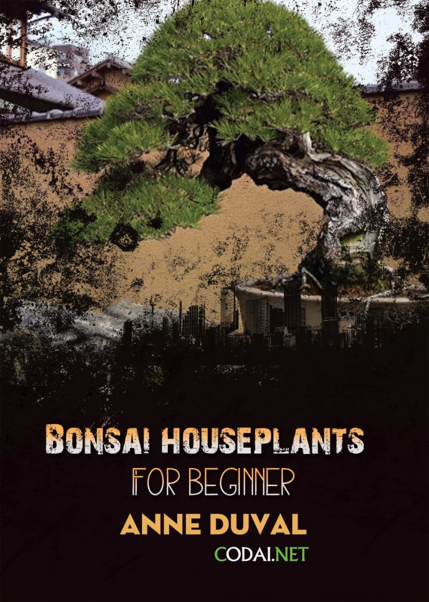 [Ebook Việt Hoá] BONSAI and HOUSEPLANTS for Beginners  – Anne Duval – Bonsai Pest Protection (Bảo vệ Bonsai khỏi sâu bệnh)