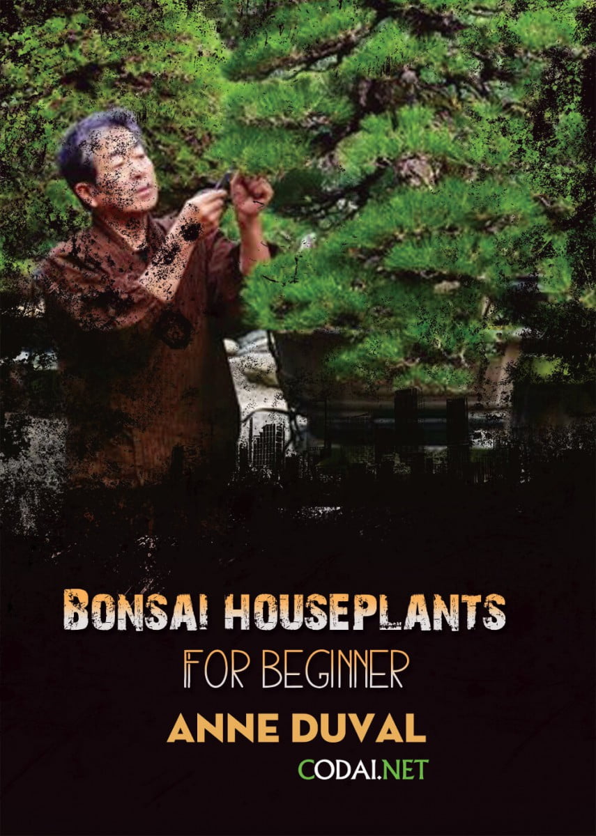 [Ebook Việt Hoá] BONSAI and HOUSEPLANTS for Beginners  – Anne Duval – Problems with your Bonsai? Seven Signs of Trouble (Những vấn đề đối với Bonsai? 7 dấu hiệu của vấn đề)