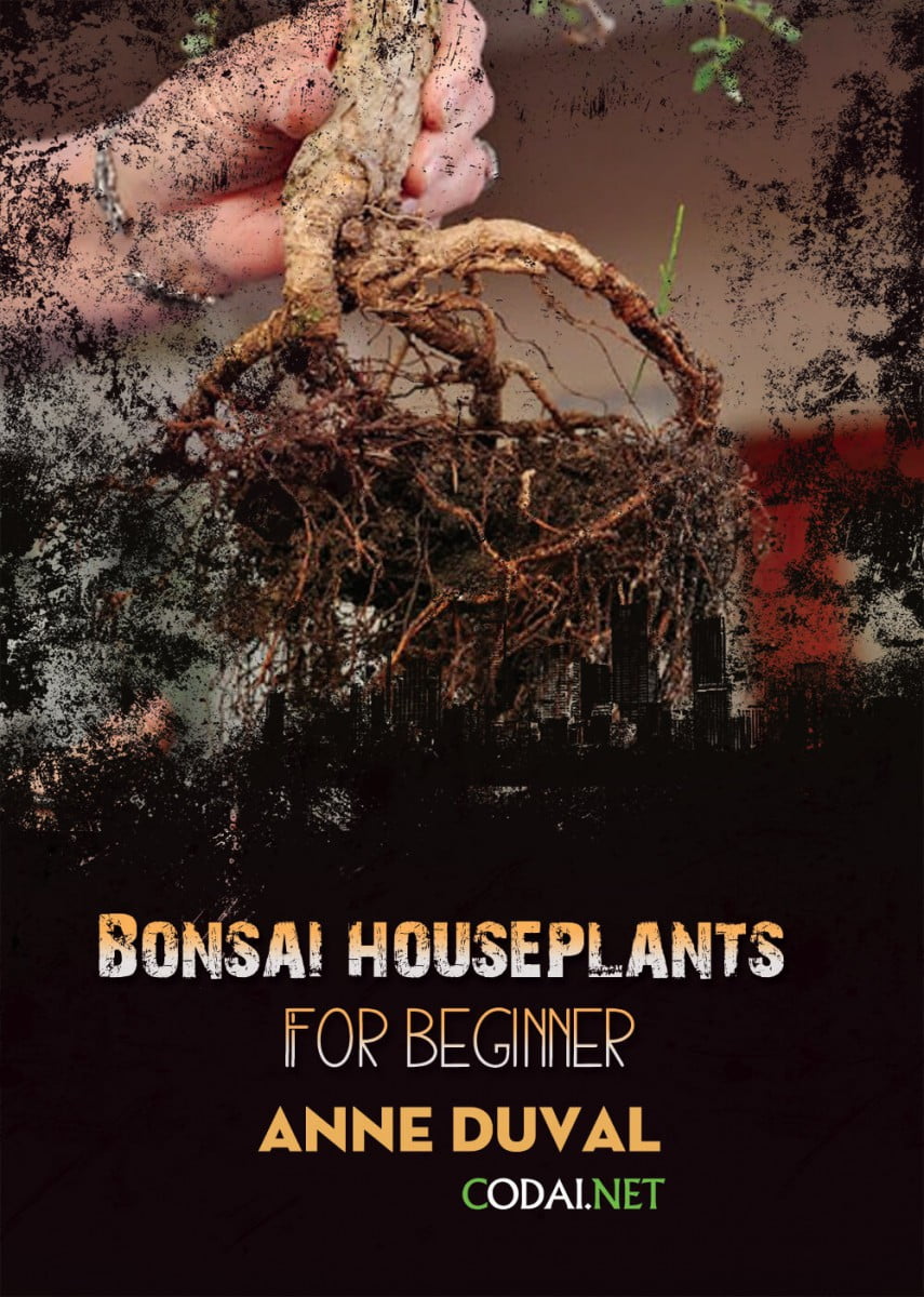 [Ebook Việt Hoá] BONSAI and HOUSEPLANTS for Beginners  – Anne Duval – How To Revive A Dying Bonsai Tree (Cách cứu một cây Bonsai đang chết)