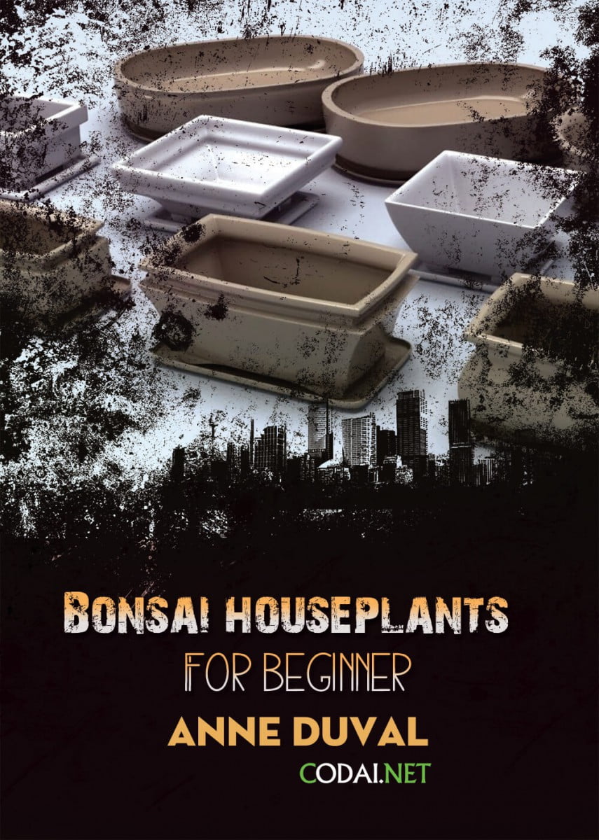 [Ebook Việt Hoá] BONSAI and HOUSEPLANTS for Beginners  – Anne Duval – Bonsai Tree Pots (Chậu trồng Bonsai)