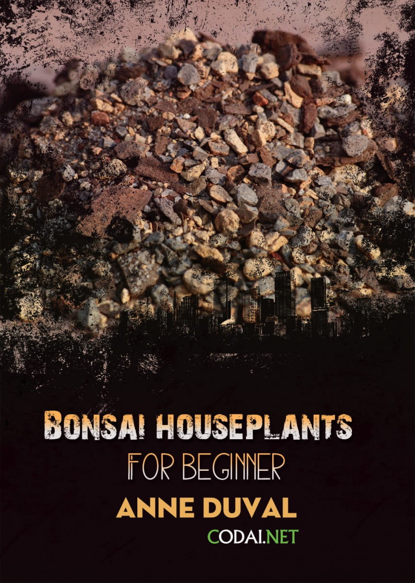 [Ebook Việt Hoá] BONSAI and HOUSEPLANTS for Beginners  – Anne Duval – Bonsai Soil (Đất Bonsai)