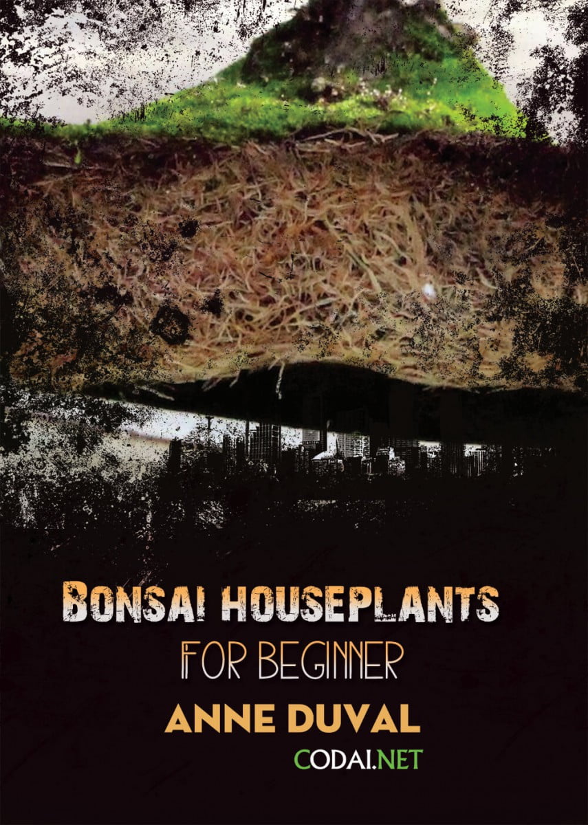 [Ebook Việt Hoá] BONSAI and HOUSEPLANTS for Beginners  – Anne Duval – Bonsai Repotting (Sang chậu cây Bonsai)